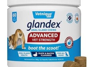 Glandex anal gland chews